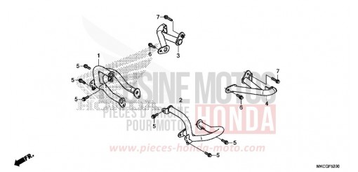 PROTECTION DE MOTEUR GL1800DAL de 2020